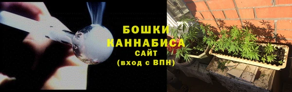 индика Бронницы